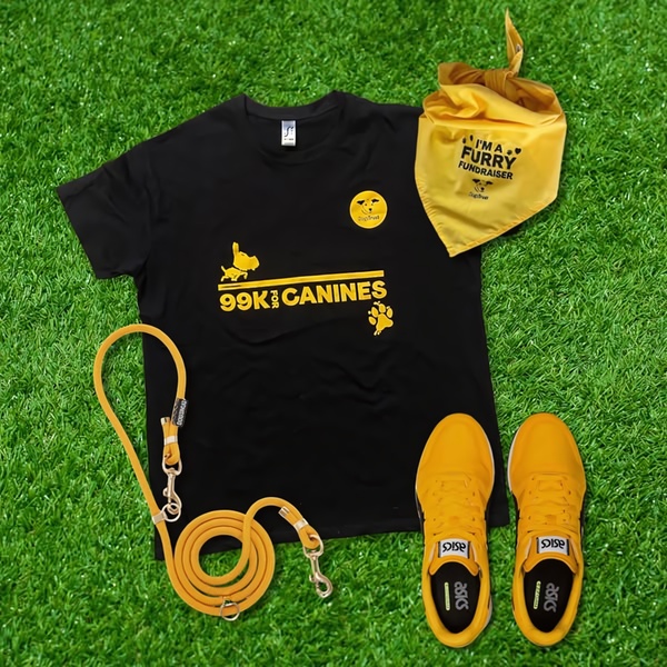 graphic t-shirt, dog leash, pet bandana, running shoes, charity apparel, pet walking gear, brand awareness, flat lay, energetic, playful, yellow, black, green